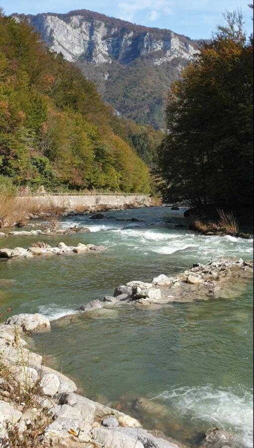 Сasa de vacaciones Stari Malni, - Vacation Stari Malni *